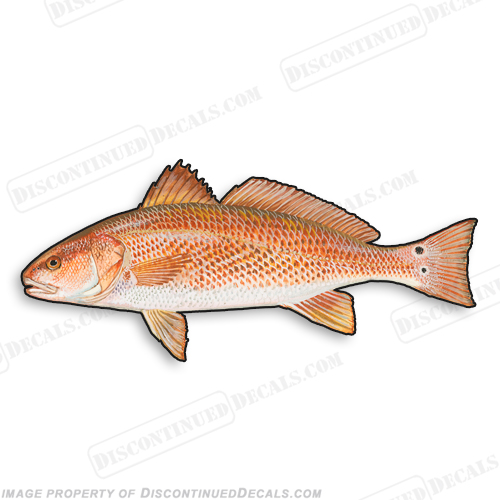 Red Drum Decal - 9" INCR10Aug2021