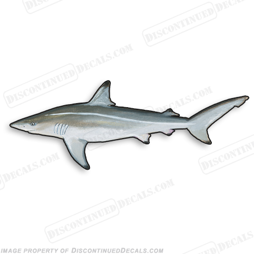 Shark Decal - 9" INCR10Aug2021