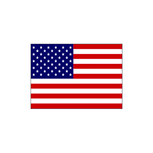 Flag Decal - American INCR10Aug2021